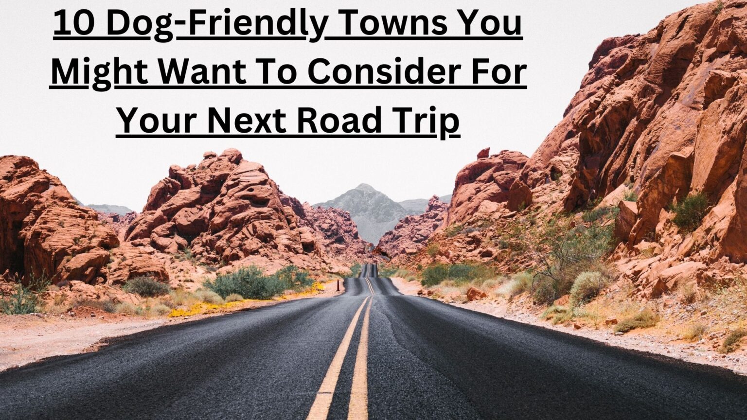 10 Dog Friendly Towns To Consider On The Road With Charlie