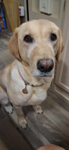 Read more about the article Squirty Is The Star